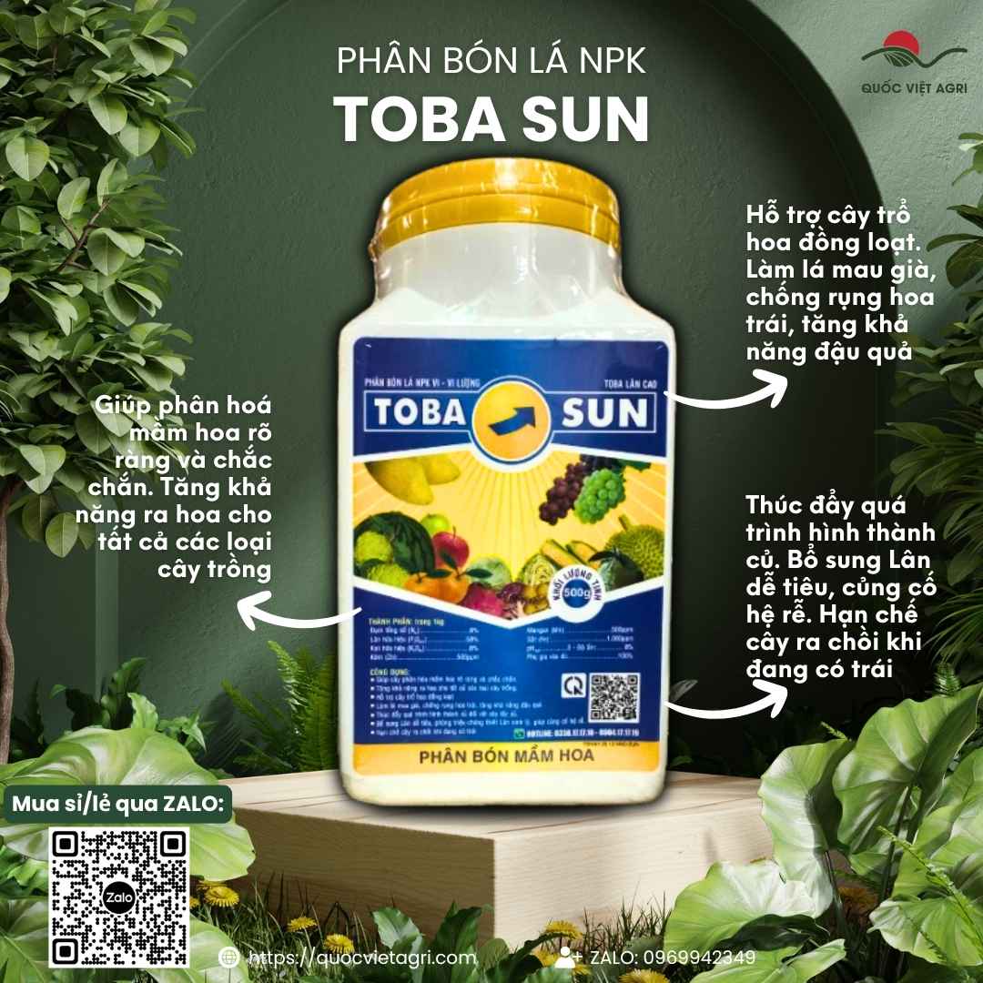 Mặt trước hộp phân bón lá Toba Sun 500g, chuyên dùng để phân hóa mầm hoa, kích thích ra hoa đồng loạt, hàm lượng Lân 58%.