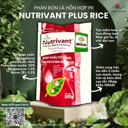 Mặt trước gói phân bón PK Nutrivant Rice 0-46-30 500g, tạo mầm hoa, nhập khẩu Israel.

