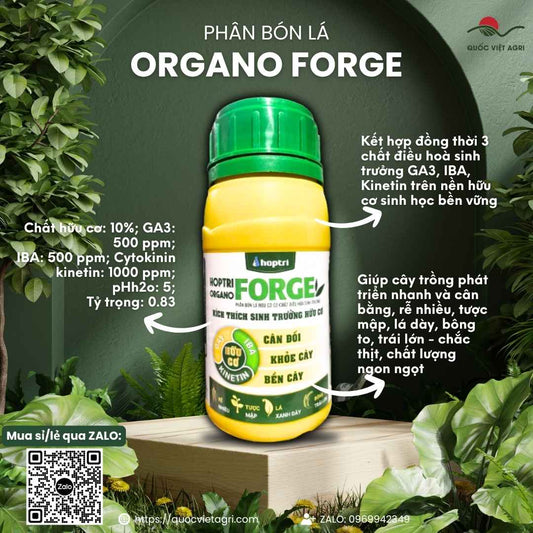 Mặt trước chai điều hòa sinh trưởng Hợp Trí Organo Forge 250ml, chuyên dùng để kích rễ, bung đọt, sản phẩm chính hãng Hợp Trí.

