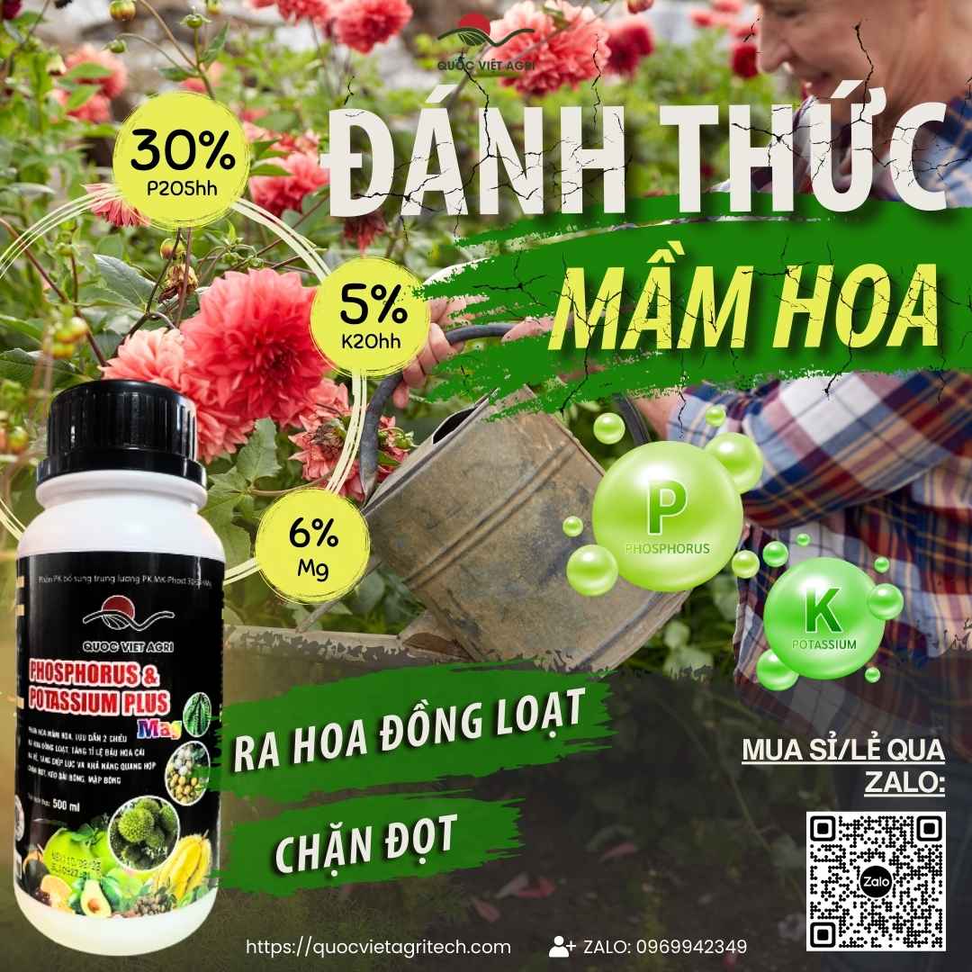 Bảng thành phần Lân 30%, Kali 5%, Magie 6% của chai PK Lân 2 chiều.