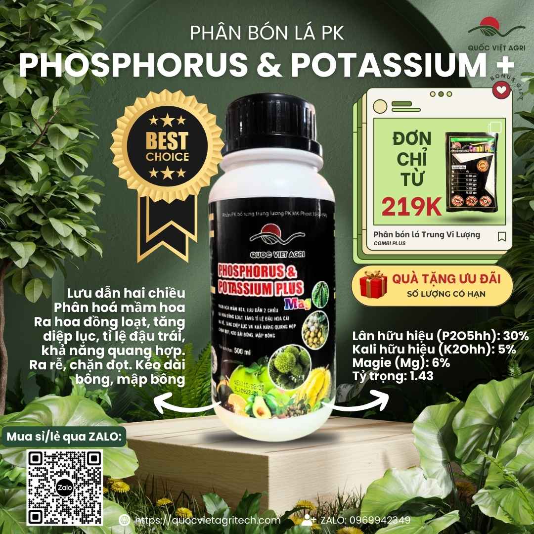 Mặt trước chai Phân bón lá PK PHOS-PHORUS & POTASSIUM PLUS 500ml Lân hai chiều.