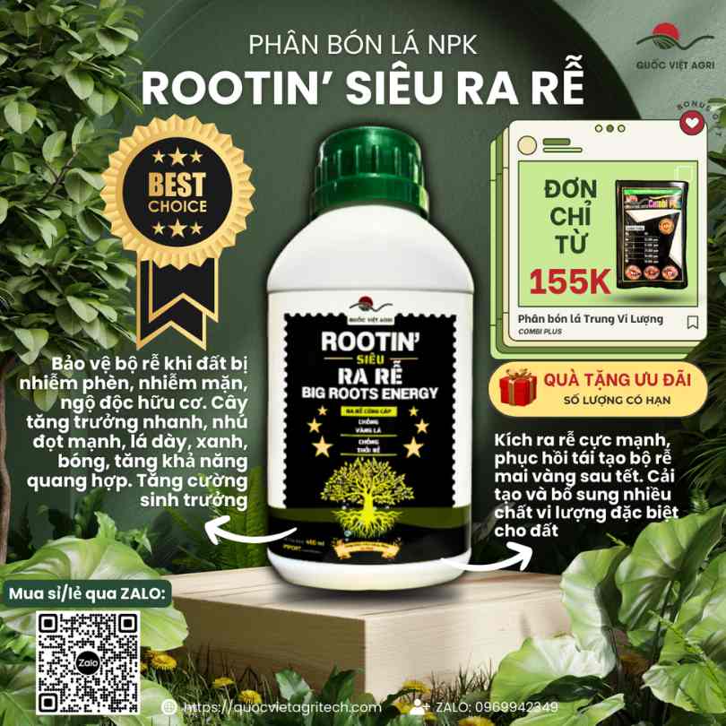 Mặt trước chai phân bón kích rễ Rootin 450ml, chuyên dùng để phục hồi cây, chống vàng lá, sản phẩm chính hãng của Quốc Việt Agri.

