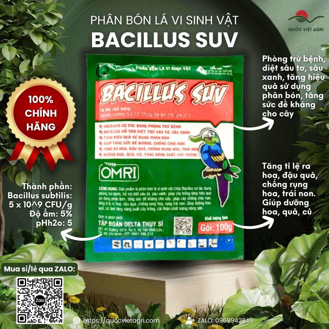 Mặt trước gói Phân bón lá vi sinh Bacillus SUV 100g, chứa 5 tỷ bào tử lợi khuẩn, trừ sâu tơ, sâu xanh an toàn.