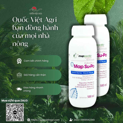 Hình ảnh tổng quan sản phẩm phân bón lá Map Supo 500ml, giải pháp tăng đậu trái cho xoài, sầu riêng, cây có múi từ Quốc Việt Agri.