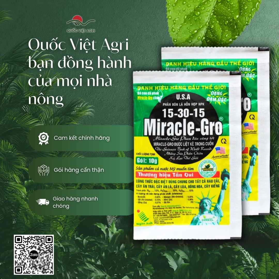 Ảnh toàn diện gói phân bón Miracle-Gro 15-30-15+TE 10g, chứa NPK 15-30-15 và vi lượng chelate, chuyên kích hoa, tăng đậu trái.
