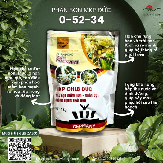 Mặt trước bao phân bón gốc MKP 0-52-34 25kg, chuyên dùng để tạo mầm hoa, sản phẩm nhập khẩu từ Đức.

