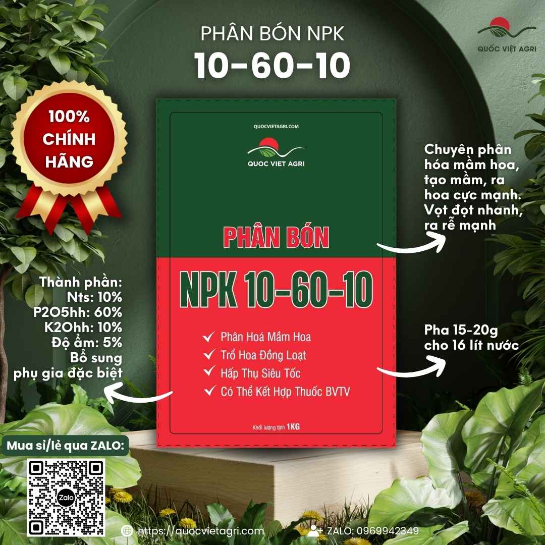 Mặt trước gói phân bón Siêu Tạo Mầm 10-60-10 1KG, chuyên dùng để kích thích ra hoa, chặn đọt, sản phẩm chính hãng của Quốc Việt Agri.