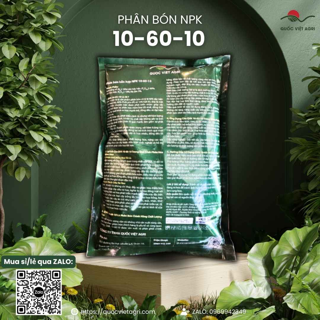 Mặt sau gói phân bón lá Siêu Tạo Mầm 10-60-10 1kg với thông tin thành phần NPK 10-60-10 và hướng dẫn sử dụng chi tiết.