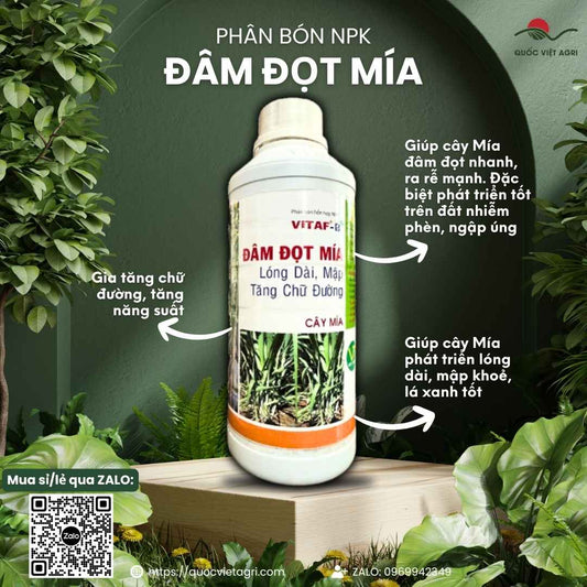 Mặt trước chai phân bón NPK Vitaf 6-6-6 Đâm Đọt Mía 1 Lít, chuyên dùng để vươn lóng, tăng chữ đường, sản phẩm chính hãng VITAF.

