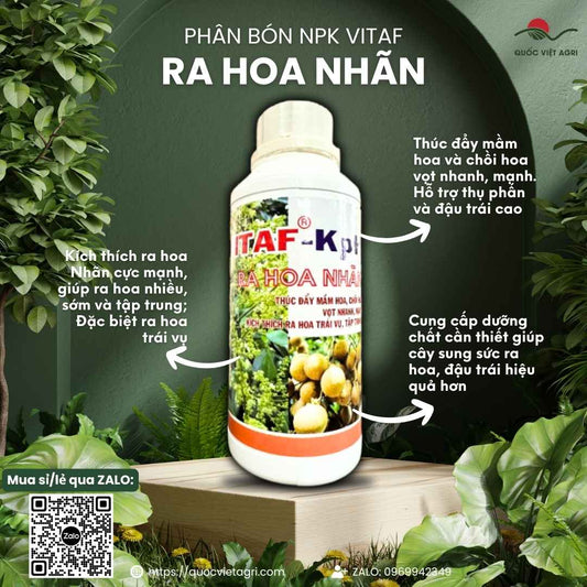 Mặt trước chai VITAF Ra Hoa Nhãn 500ml/1L, chuyên kích thích ra hoa nhãn nghịch vụ, bông mập, vươn dài.