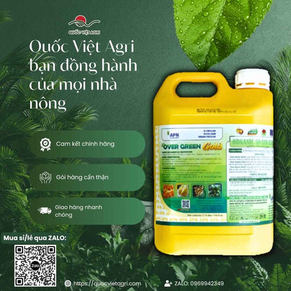 Ảnh tổng quan Can Over Green Gold 5 Lít, nhập khẩu Tây Ban Nha, chuyên cải tạo đất.