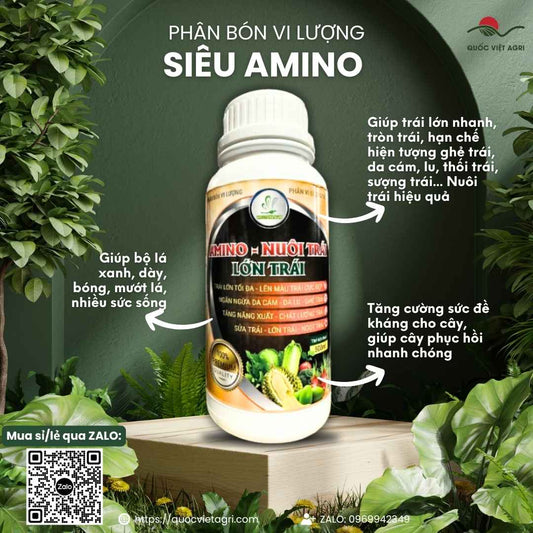 Mặt trước chai phân bón lá Amino Nuôi Trái Lớn Trái 500ml, chuyên dùng để lớn trái, chống sượng, sản phẩm chính hãng của Quốc Việt Agri.


