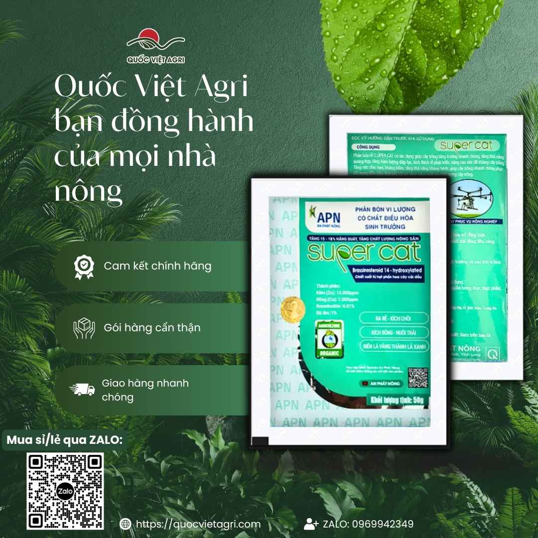 Hình tổng quan gói phân bón lá SUPER CAT 10g của An Phát Nông.