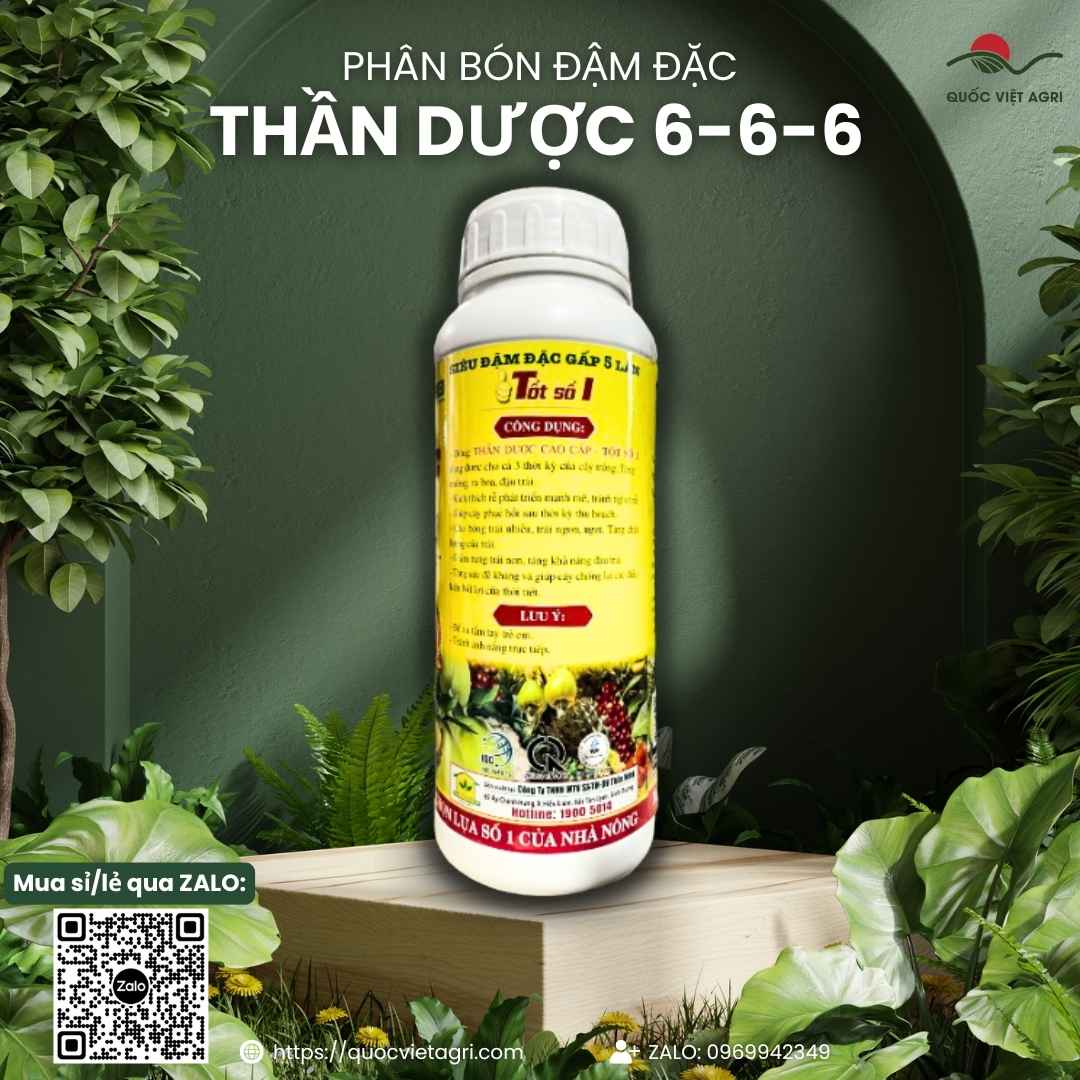 Mặt sau chai phân bón lá Thần Dược 6-6-6 1 Lít với thông tin thành phần NPK 6-6-6, Auxin, Cytokinin và hướng dẫn sử dụng.