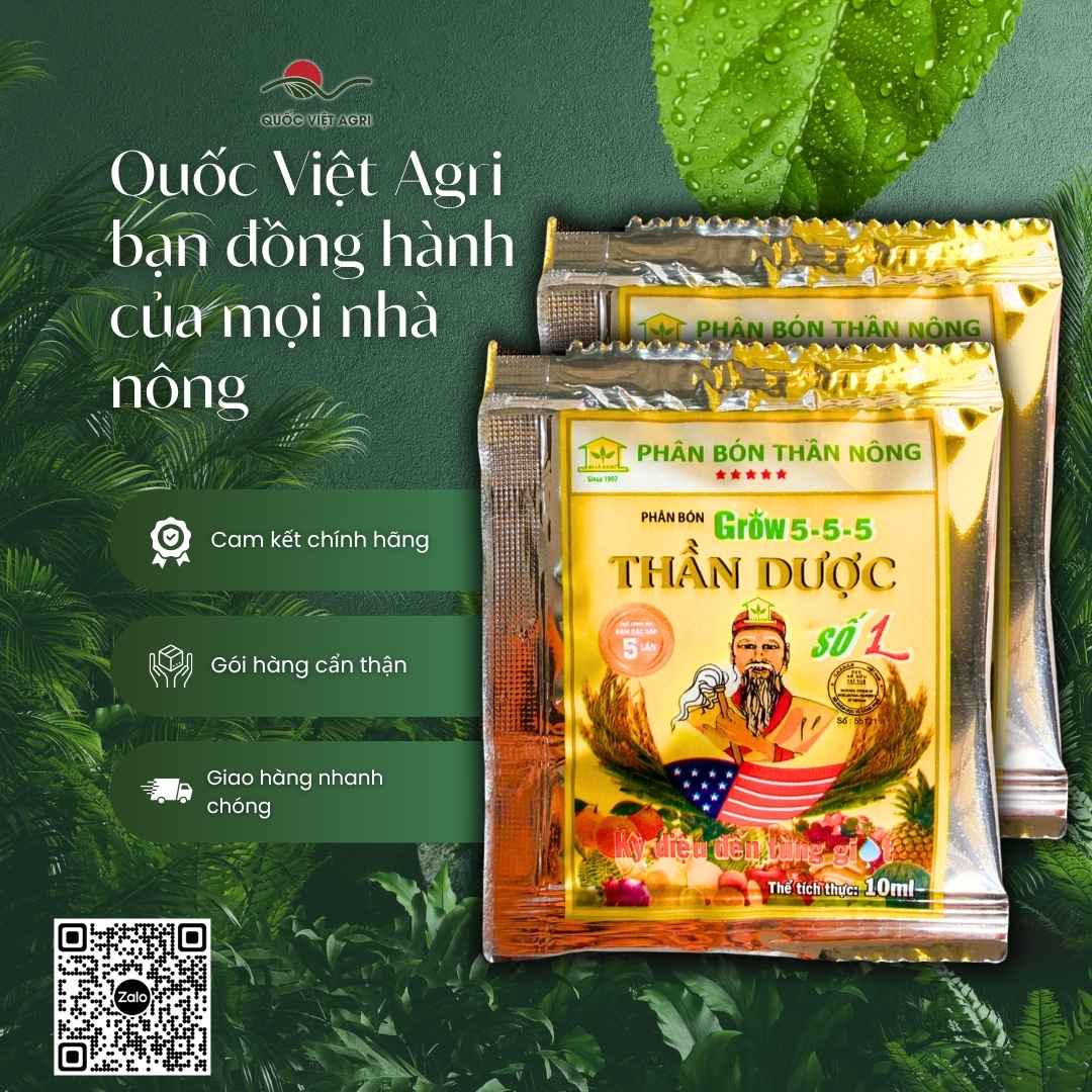 Bảng thành phần Grow 5-5-5 và Auxin mặt sau gói Thần Dược 10ml.