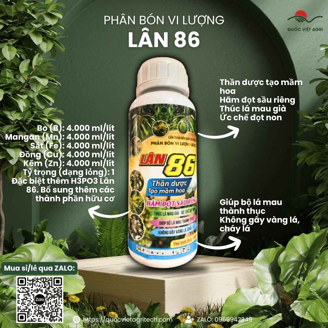 Mặt trước chai phân bón lá Lân 86 500ml, chuyên dùng để tạo mầm hoa, hãm đọt sầu riêng, sản phẩm chính hãng của Quốc Việt Agri.

