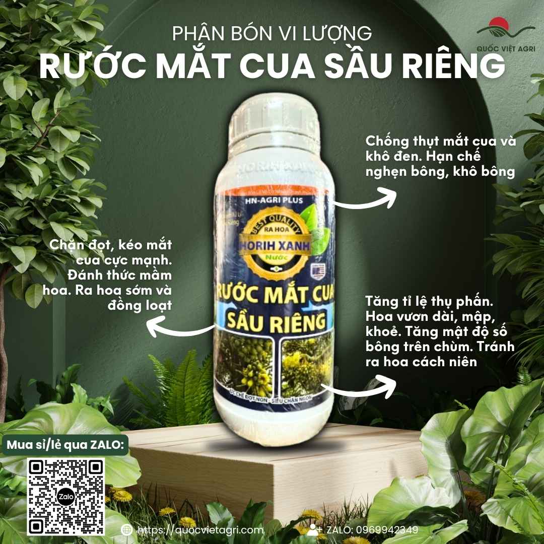 Mặt trước chai Phân Bón Rước Mắt Cua Sầu Riêng 500ml, chuyên dùng để bung mắt cua nhanh, kéo bông dài, chặn đọt.
