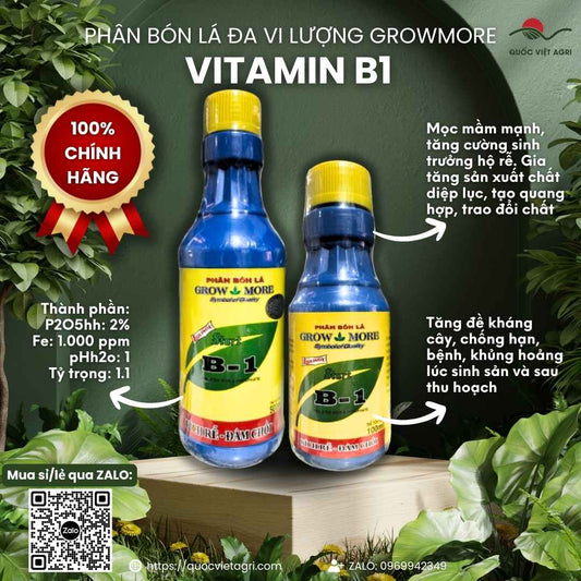 Mặt trước chai phân bón lá Vitamin B1 Growmore 100ml, chuyên dùng để kích rễ cho lan, cây cảnh, sản phẩm chính hãng của Growmore.

