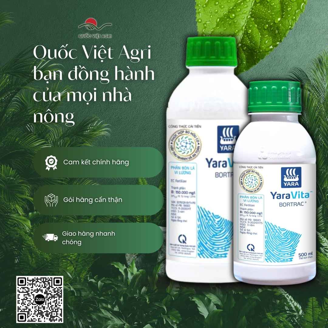Mặt sau chai phân bón lá Yara Vita Bortrac với thông tin hàm lượng Boron cao, hỗ trợ quá trình phân chia tế bào và hướng dẫn sử dụng.