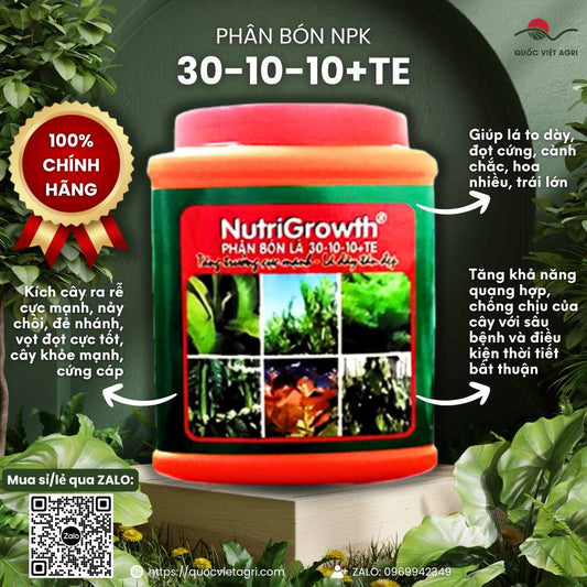 Hủ phân bón NutriGrowth 30-10-10+TE 500g, với thiết kế bao bì chuyên nghiệp, làm nổi bật công dụng bung đọt, xanh lá.