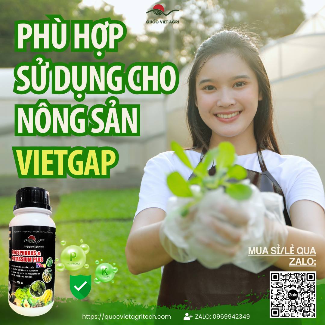 vật tư nông nghiệp phân bón lá lân hai chiều vtnn