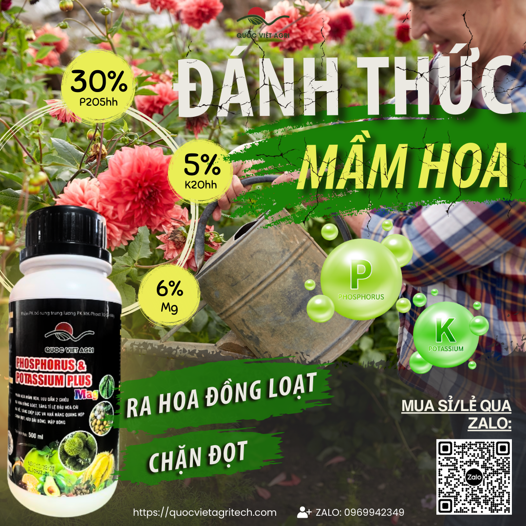 vật tư nông nghiệp phân bón lá lân hai chiều vtnn