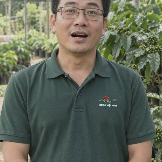 Mancozeb xanh: vì sao cần phun phủ đều — Quốc Việt Agri