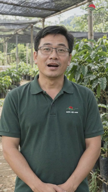 Mancozeb xanh: vì sao cần phun phủ đều — Quốc Việt Agri