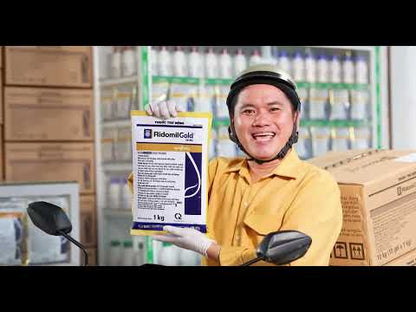 Video chính hãng Syngenta Việt Nam: Ridomil Gold 68WG