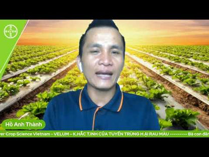 Video chính thức Bayer Crop Science Việt Nam: Tại sao cần làm ẩm đất trước khi tưới Velum Prime 400SC