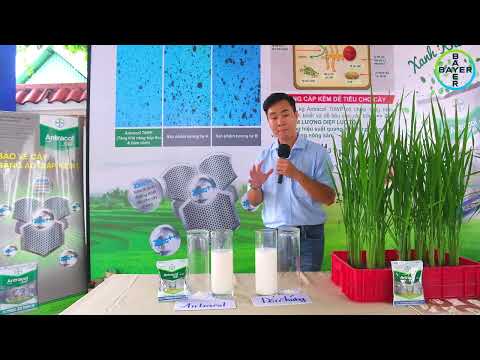 Video chính hãng Bayer Crop Science Việt Nam: Antracol 70WP