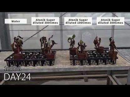 Video chính hãng OAT Agrio (Asahi): Atonik