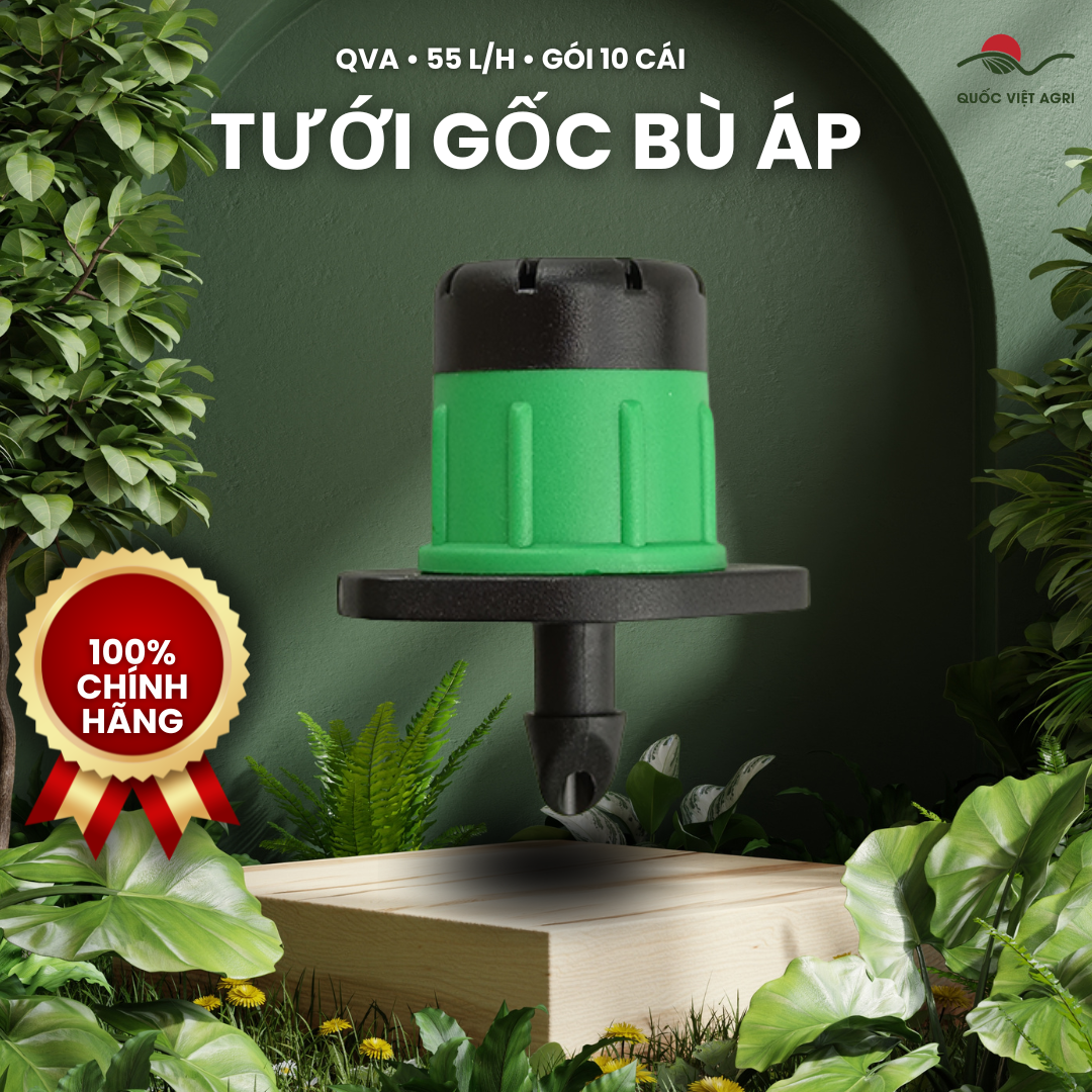 Béc tưới gốc QVA bù áp 55 L/h – Gói 10 cái – ảnh sản phẩm trên bố cục xanh QVA.