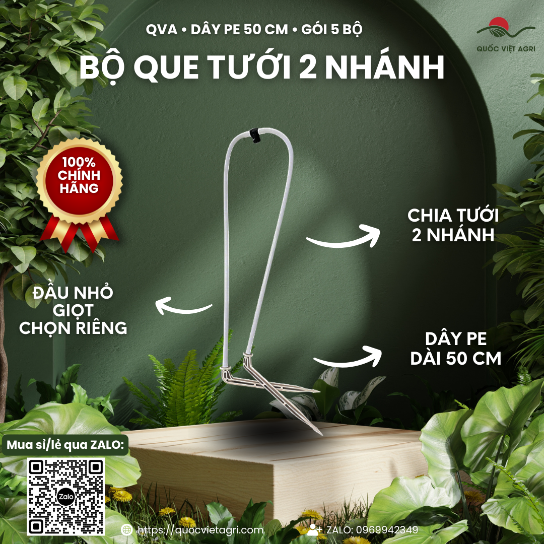 Bộ que tưới 2 nhánh QVA, dây PE trắng–đen 50 cm – Gói 5 bộ – ảnh chính với các đặc điểm sản phẩm.