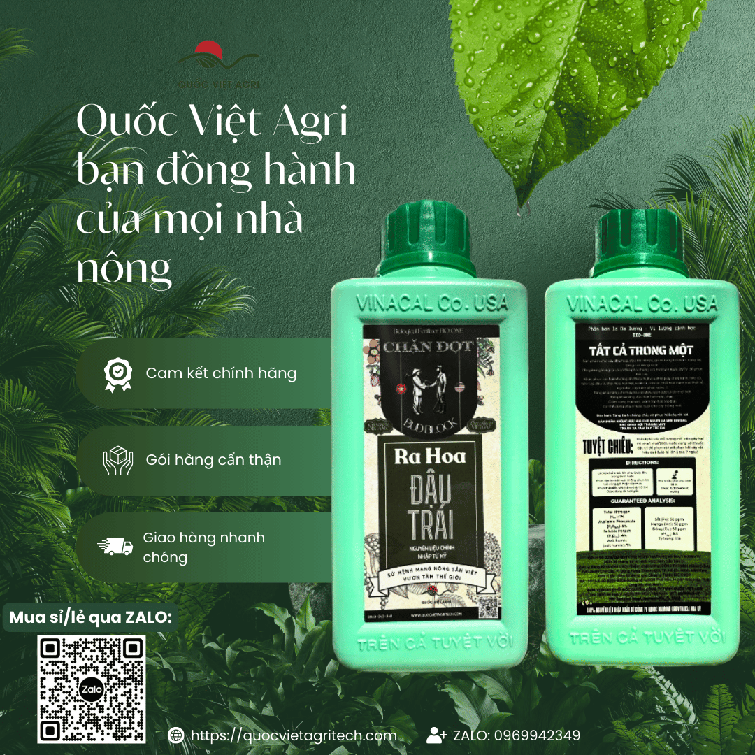 Mặt sau chai RA HOA ĐẬU TRÁI All In One 500ml với thông tin thành phần và hướng dẫn sử dụng chi tiết.