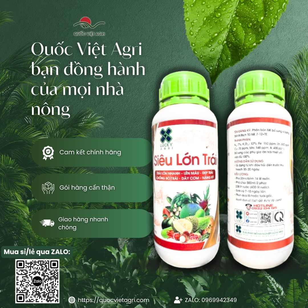 Ảnh toàn diện chai phân bón lá Siêu Lớn Trái 500ml, chuyên dùng để nuôi trái sầu riêng, chống nứt, sản phẩm chính hãng.
