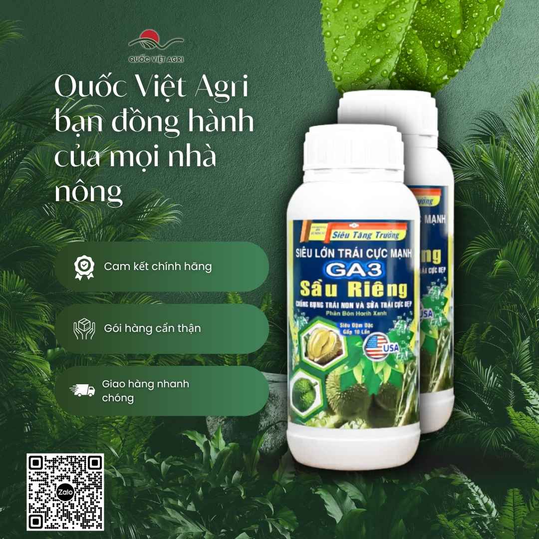 Thành phần NPK và Amino đậm đặc mặt sau chai lớn trái sầu riêng.