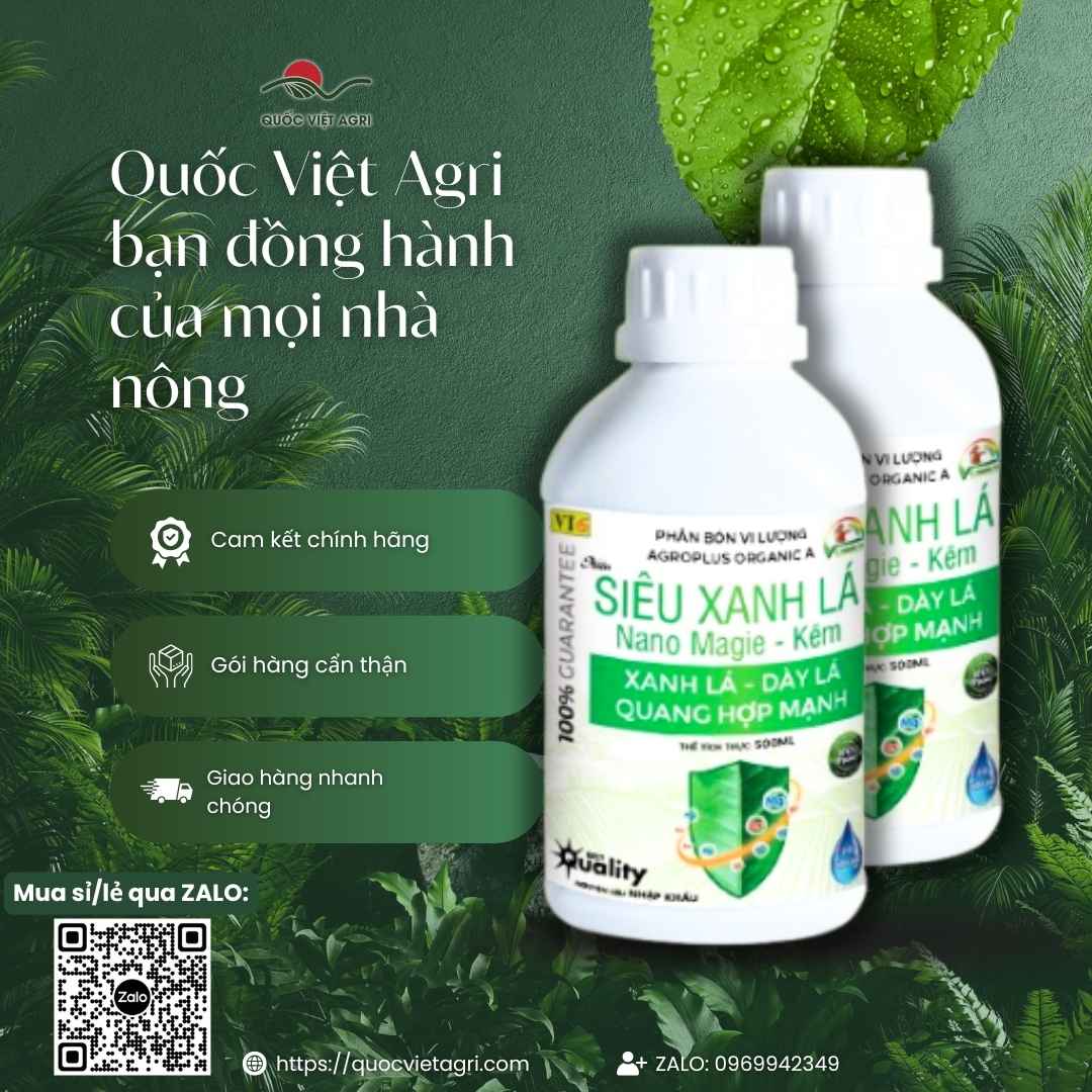 Bảng thành phần Hữu cơ, Magie, Kẽm Nano mặt sau chai Siêu Xanh Lá.