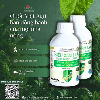 Bảng thành phần Hữu cơ, Magie, Kẽm Nano mặt sau chai Siêu Xanh Lá.