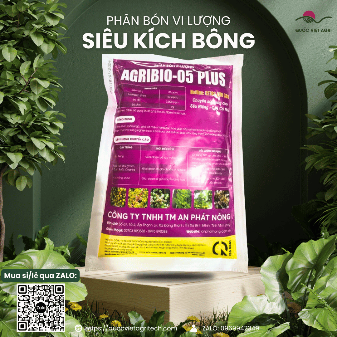 Mặt sau sản phẩm SIÊU KÍCH BÔNG với hướng dẫn sử dụng rõ ràng.