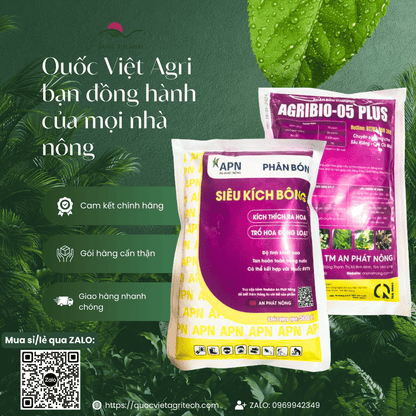 Cả hai mặt sản phẩm SIÊU KÍCH BÔNG hiển thị đầy đủ thông tin thành phần và liều lượng.


