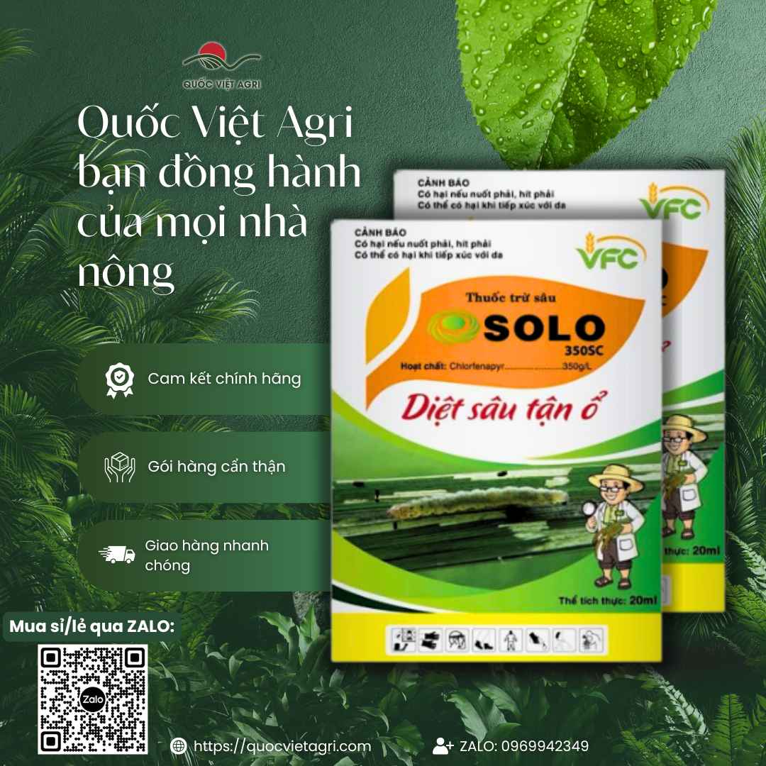 Ảnh toàn diện gói thuốc trừ sâu Solo 350SC 20ml, chuyên dùng để đặc trị sâu cuốn lá, sâu xanh da láng, sản phẩm chính hãng VFC.