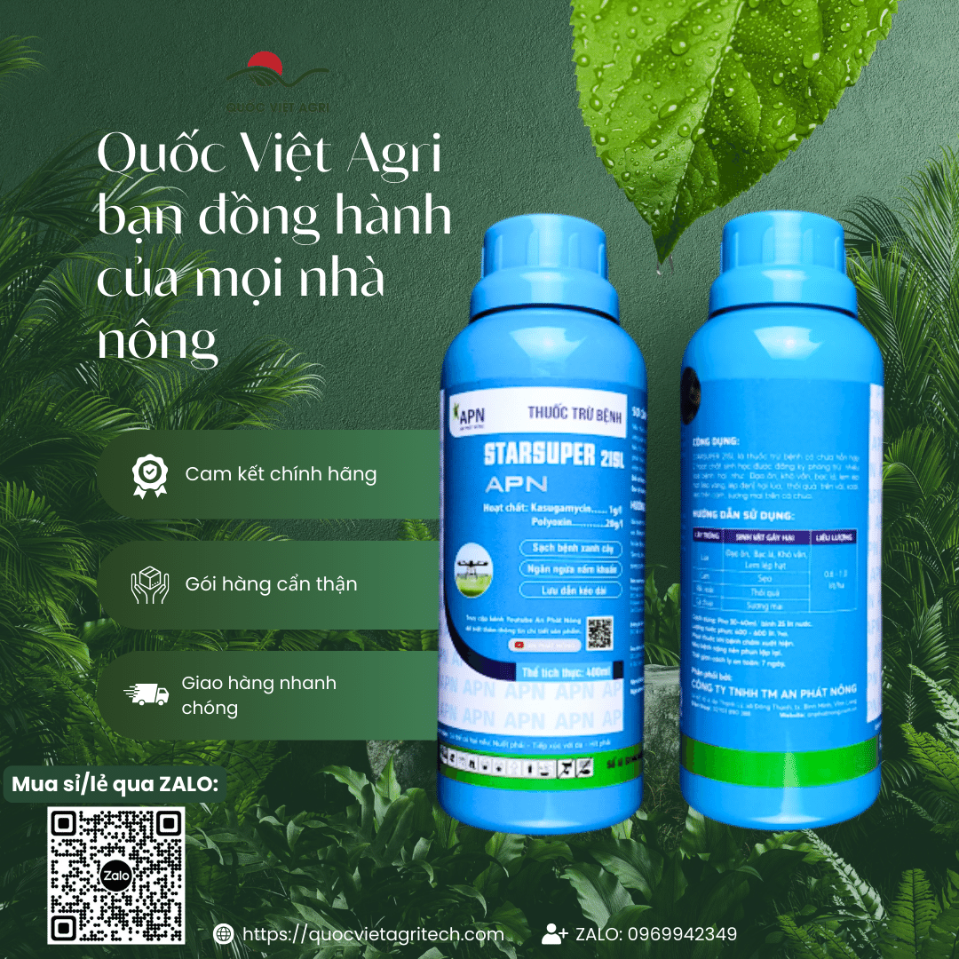 Hình ảnh hai mặt (trước và sau) của chai thuốc trừ bệnh sinh học Starsuper 21SL.