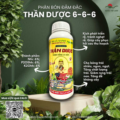 Mặt trước chai phân bón lá Thần Dược 6-6-6 Ba Lá Xanh, dung tích 1 Lít, nổi bật với công dụng phục hồi cây, sản phẩm công nghệ Mỹ.

