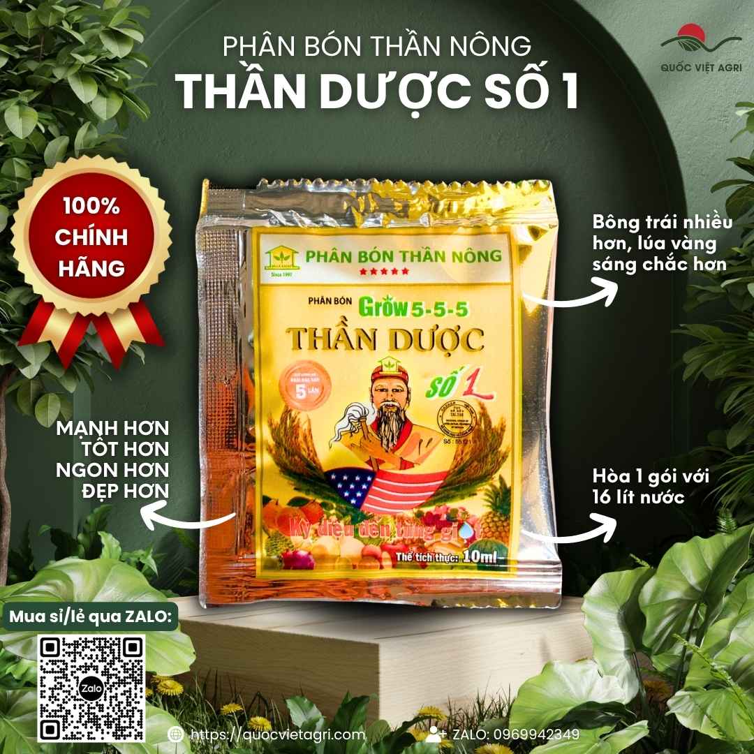 Mặt trước gói phân bón lá Thần Dược Số 1 Grow Ba Lá Xanh 10ml.