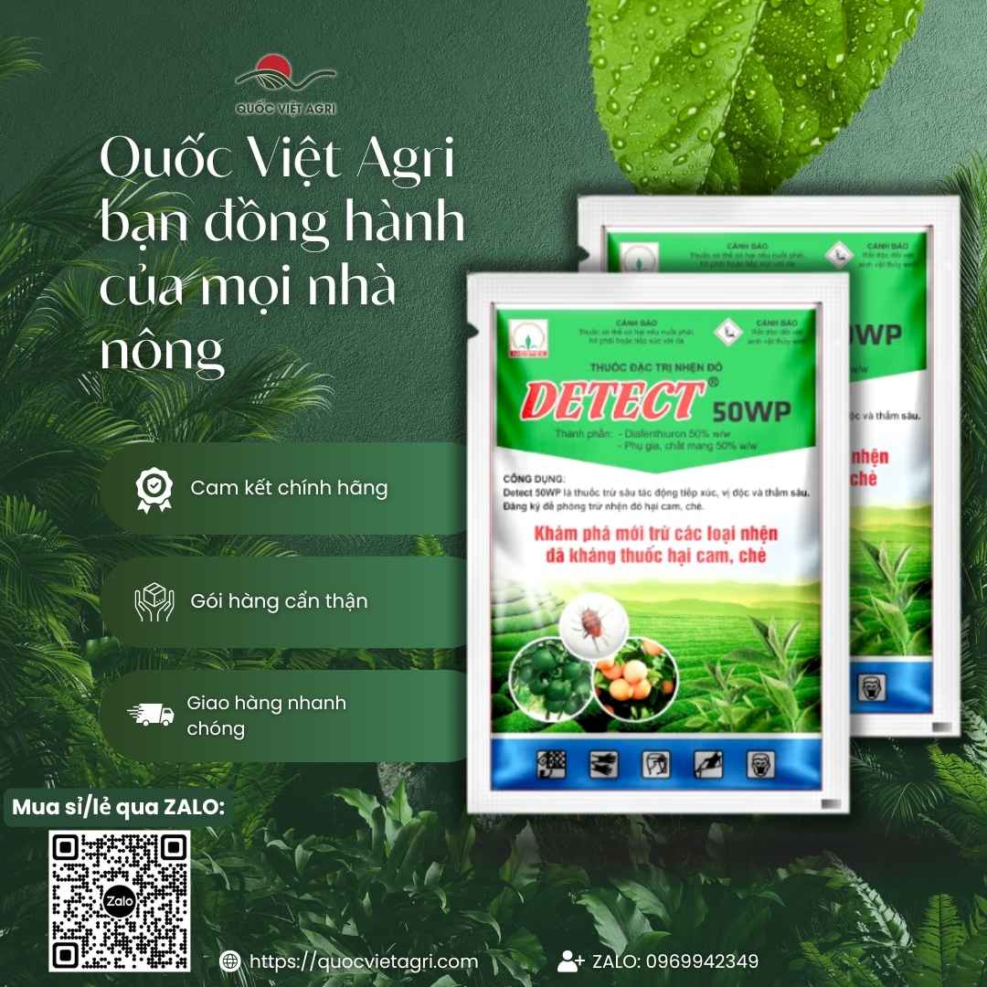 Hình ảnh tổng quan sản phẩm thuốc trừ nhện Detect 50WP 100g, giải pháp "2 trong 1" diệt nhện và dưỡng cây từ Quốc Việt Agri.