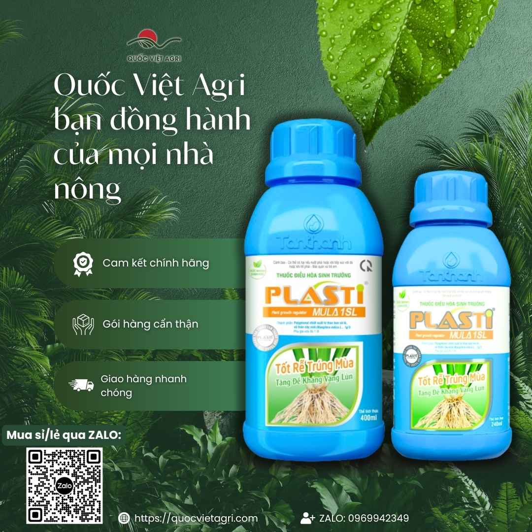 Bảng thành phần Polyphenol chiết xuất tự nhiên mặt sau chai Plastimula.