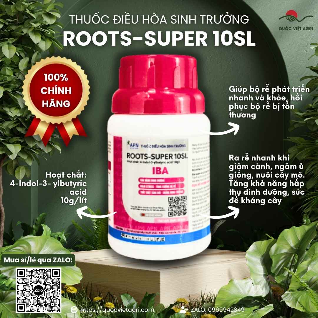 Roots-super 10SL