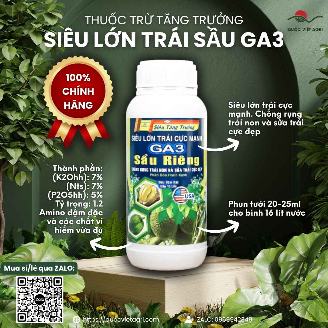 Mặt trước chai Phân bón lá SIÊU LỚN TRÁI SẦU RIÊNG 500ml Horih Xanh.