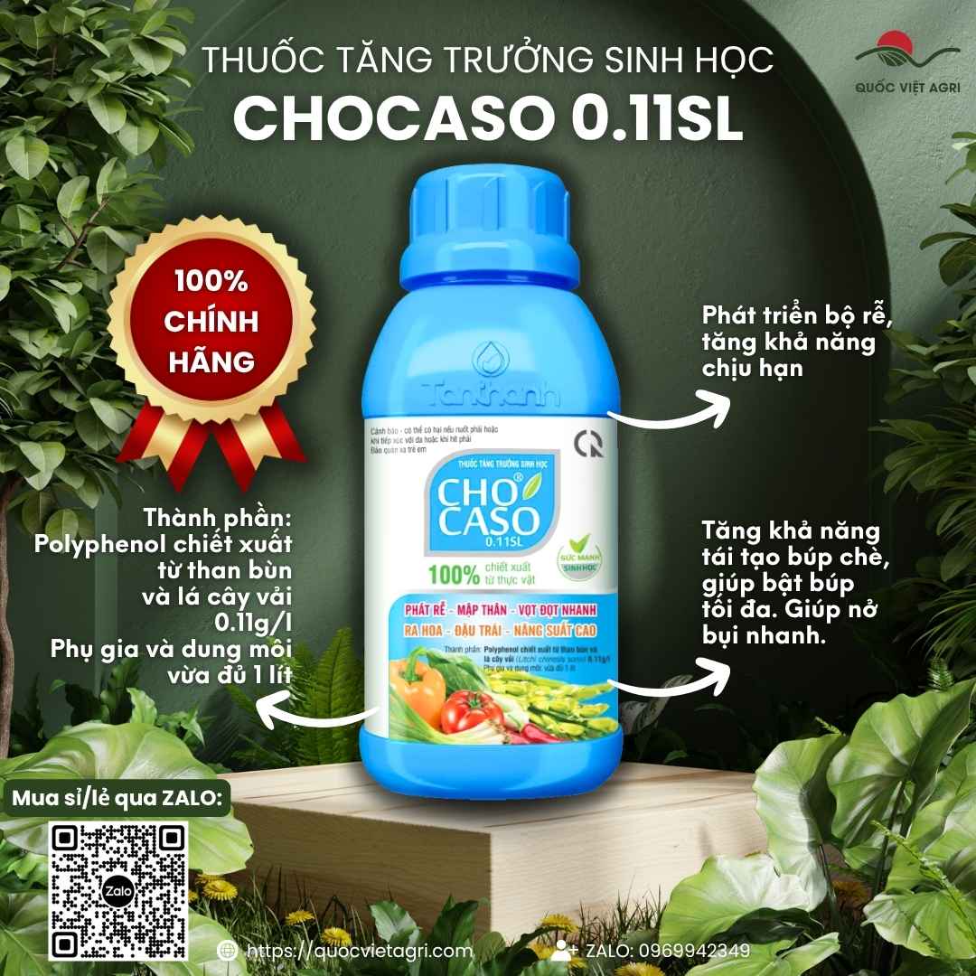 Mặt trước chai Thuốc tăng trưởng sinh học CHOCASO 0.11SL 240ml Tân Thành.